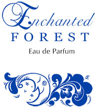 Enchanted Forest